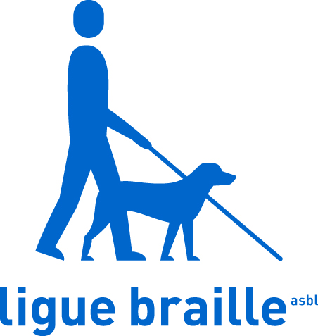 logo ligue braille