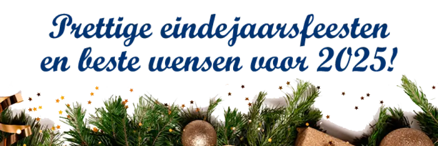 Banner: Prettige eindejaarsfeesten en beste wensen voor 2025!